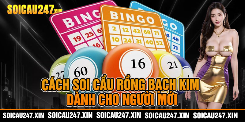 Cách soi cầu rồng bạch kim dành cho người mới