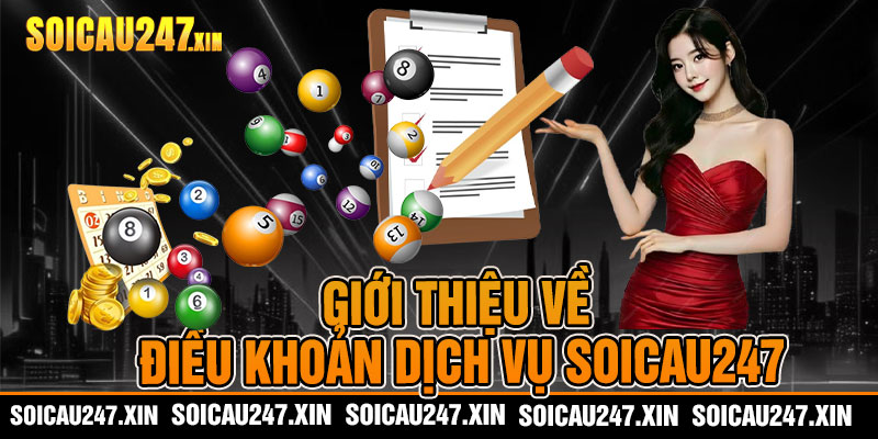 Giới thiệu về điều khoản dịch vụ soicau247