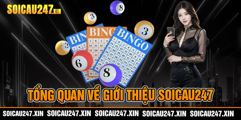 Tổng quan về giới thiệu soicau247