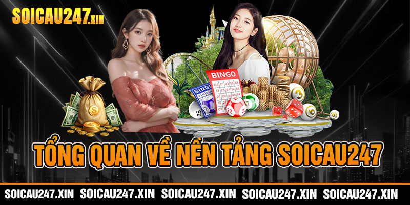 Tổng quan về nền tảng soicau247