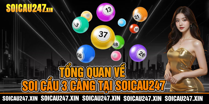 Tổng quan về soi cầu 3 càng tại soicau247