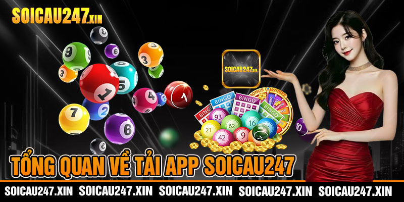 Tổng quan về tải app soicau247
