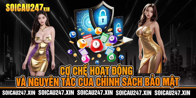 cơ chế hoạt động và nguyên tắc của chính sách bảo mật