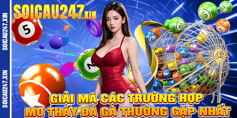 Giải Mã Các Trường Hợp Mơ Thấy Đá Gà Thường Gặp Nhất