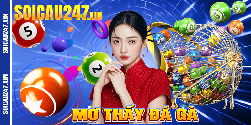 Mơ thấy đá gà