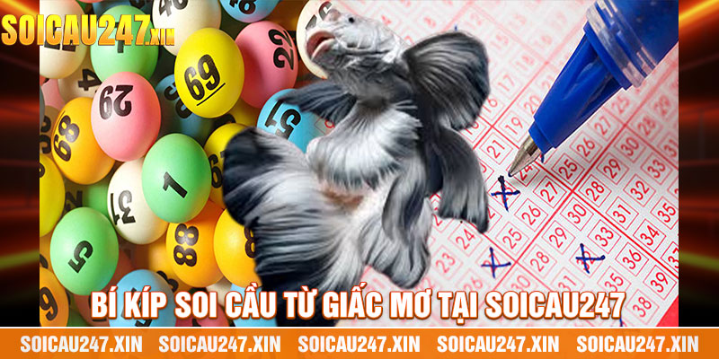 Bí Kíp Soi Cầu Từ Giấc Mơ Tại Soicau247