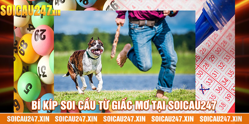 Bí Kíp Soi Cầu Từ Giấc Mơ Tại Soicau247
