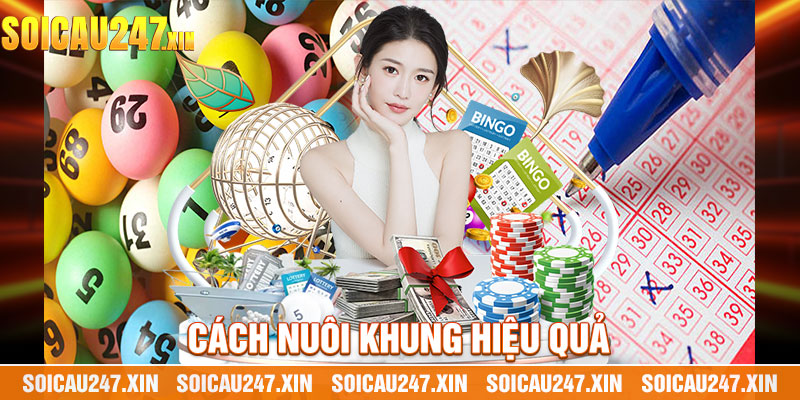 Cách nuôi khung hiệu quả