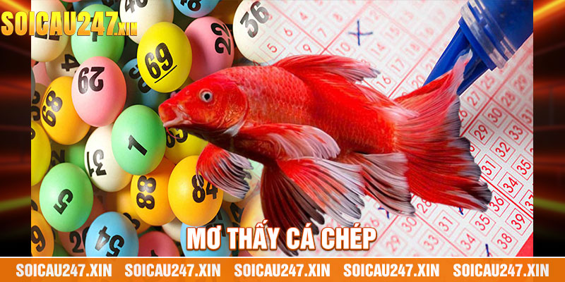 mơ thấy cá chép