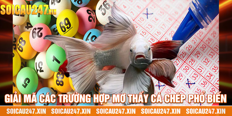 Giải Mã Các Trường Hợp Mơ Thấy Cá Chép Phổ Biến
