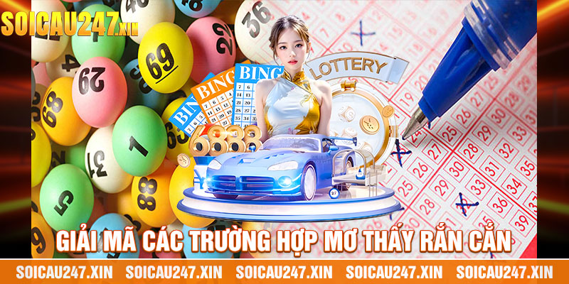 Giải Mã Các Trường Hợp Mơ Thấy Rắn Cắn