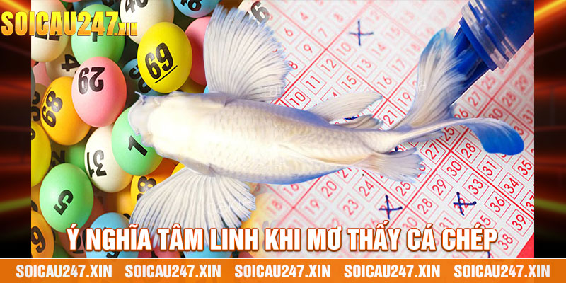 Ý Nghĩa Tâm Linh Khi Mơ Thấy Cá Chép