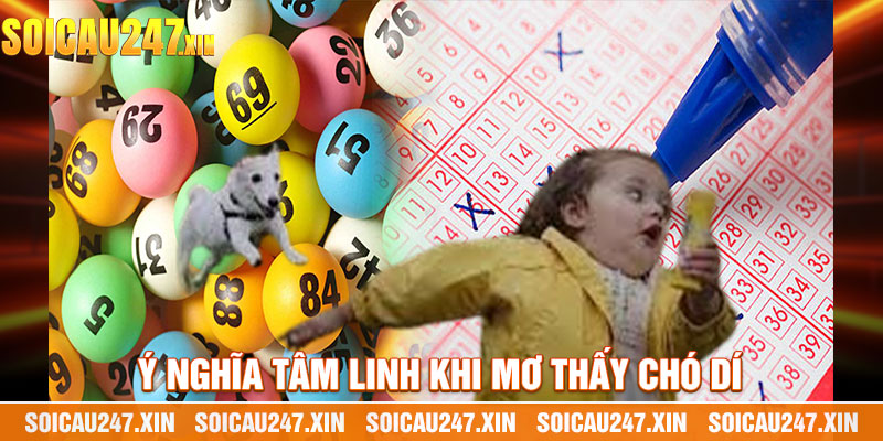 Ý Nghĩa Tâm Linh Khi Mơ Thấy Chó Dí